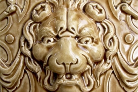 Lions Face